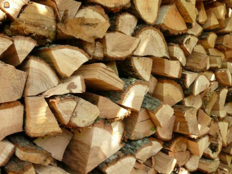 Brandhout koop - Wegenbouw.be
