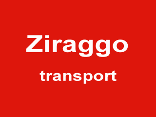 Logo Ziraggo Lille